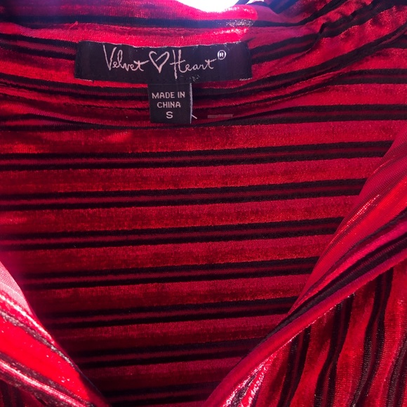 Velvet Pinstripe Blouse 🧯 - Picture 7 of 8